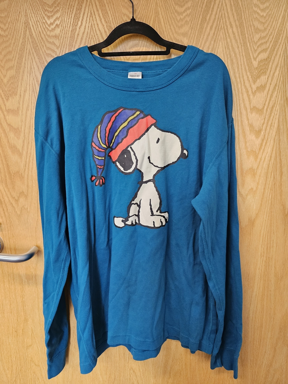Snoopy By Hannah Andeeson Graphic Long-Sleeve Tee - Teal